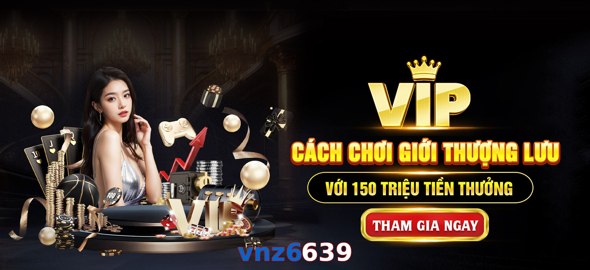 vnz6639