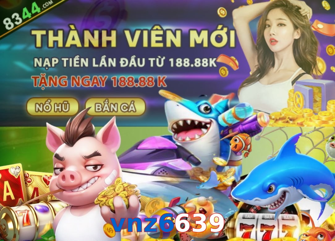 vnz6639