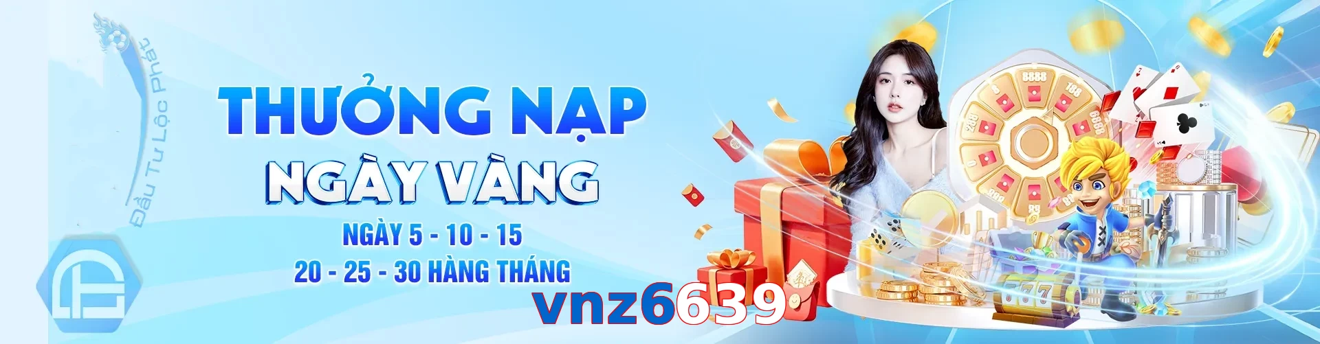vnz6639