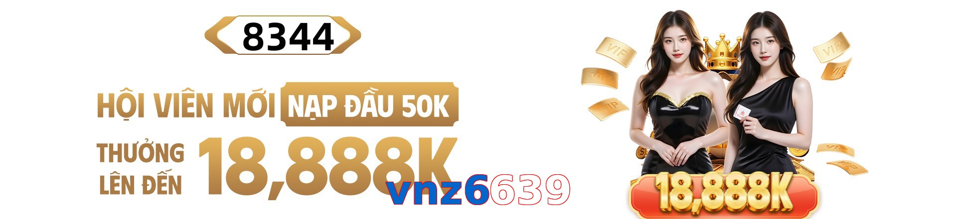vnz6639