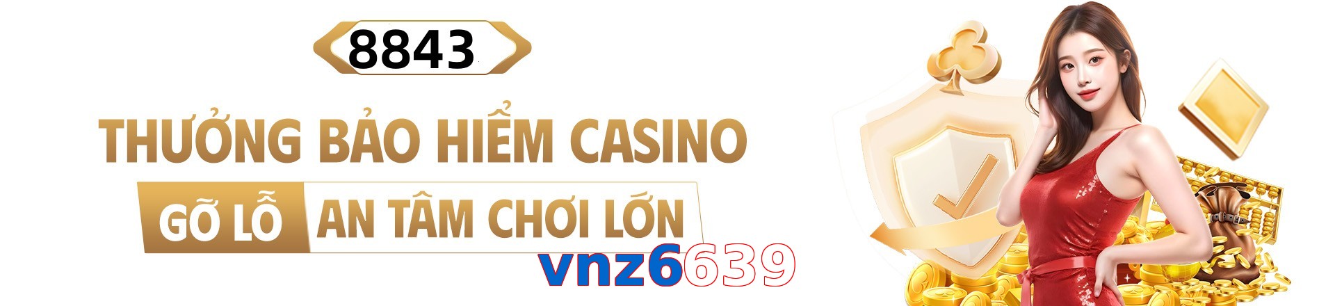 vnz6639