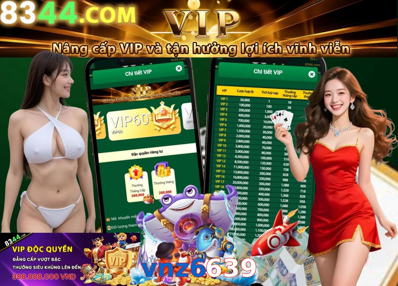 vnz6639